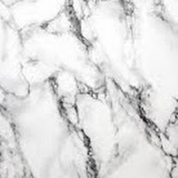 Meet your Posher, Paula - Picture 1 of 1